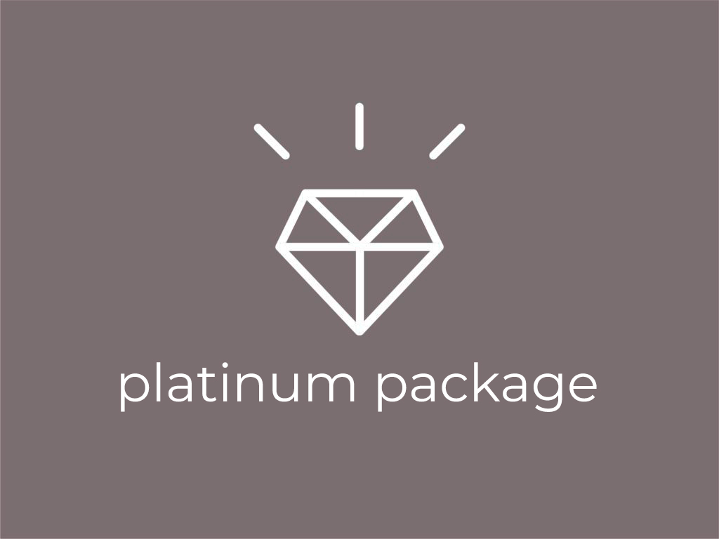 Platinum-100-1024x768